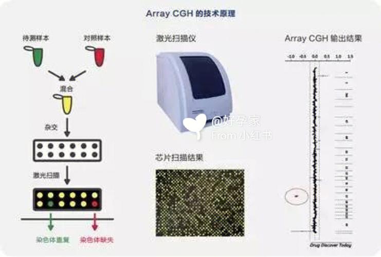 安排试管代怀是否合法【试管代怀是否合法：法律与伦理的边界探讨】