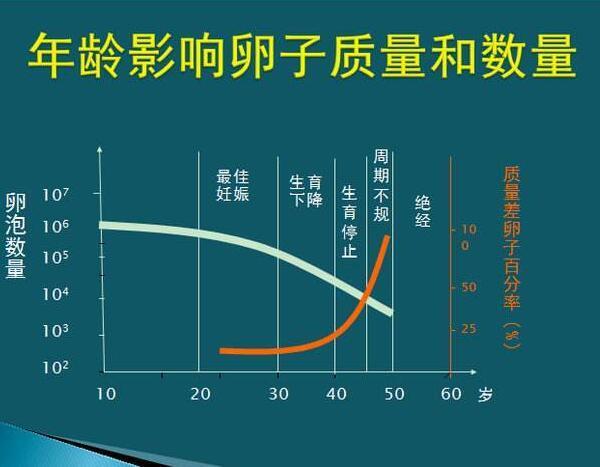 IVF试管婴儿成功率是什么意思_IVF试管婴儿成功率解析