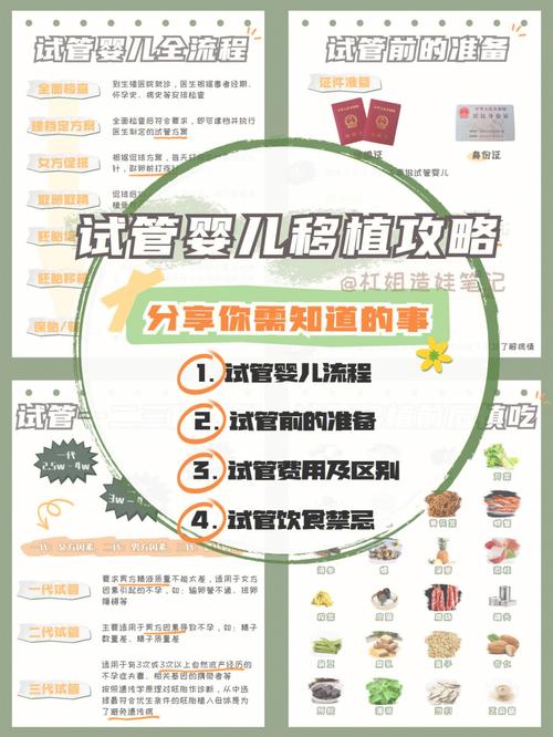 巴黎宝贝试管代怀_巴黎宝贝:试管代怀,为您带来生育的希望”
