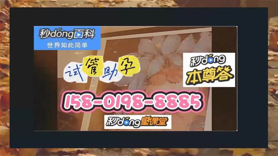 包成功试管代怀包生男孩需要多少费用(成功试管代怀包生男孩费用查询)