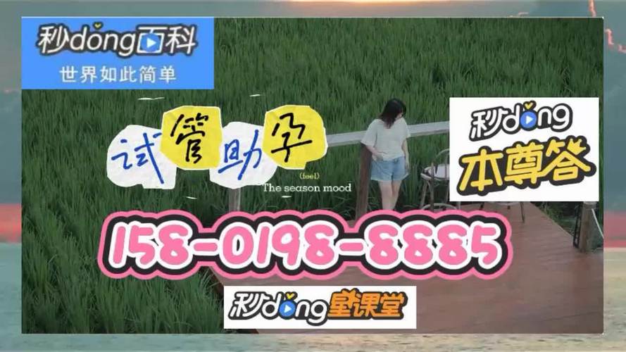 QQ群试管代怀(QQ群代怀试管,助您实现梦想”)